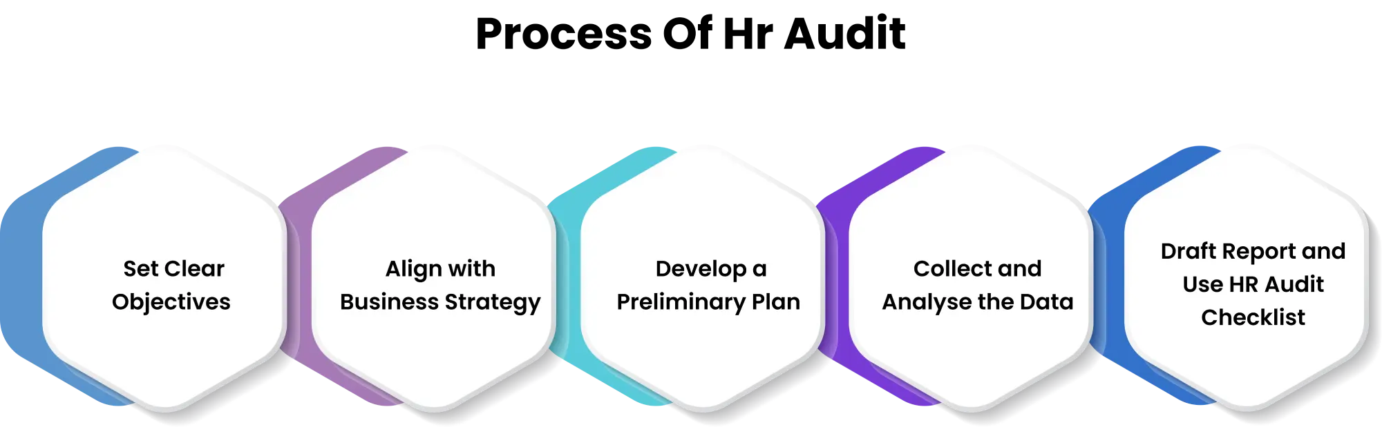  types of human resource audit