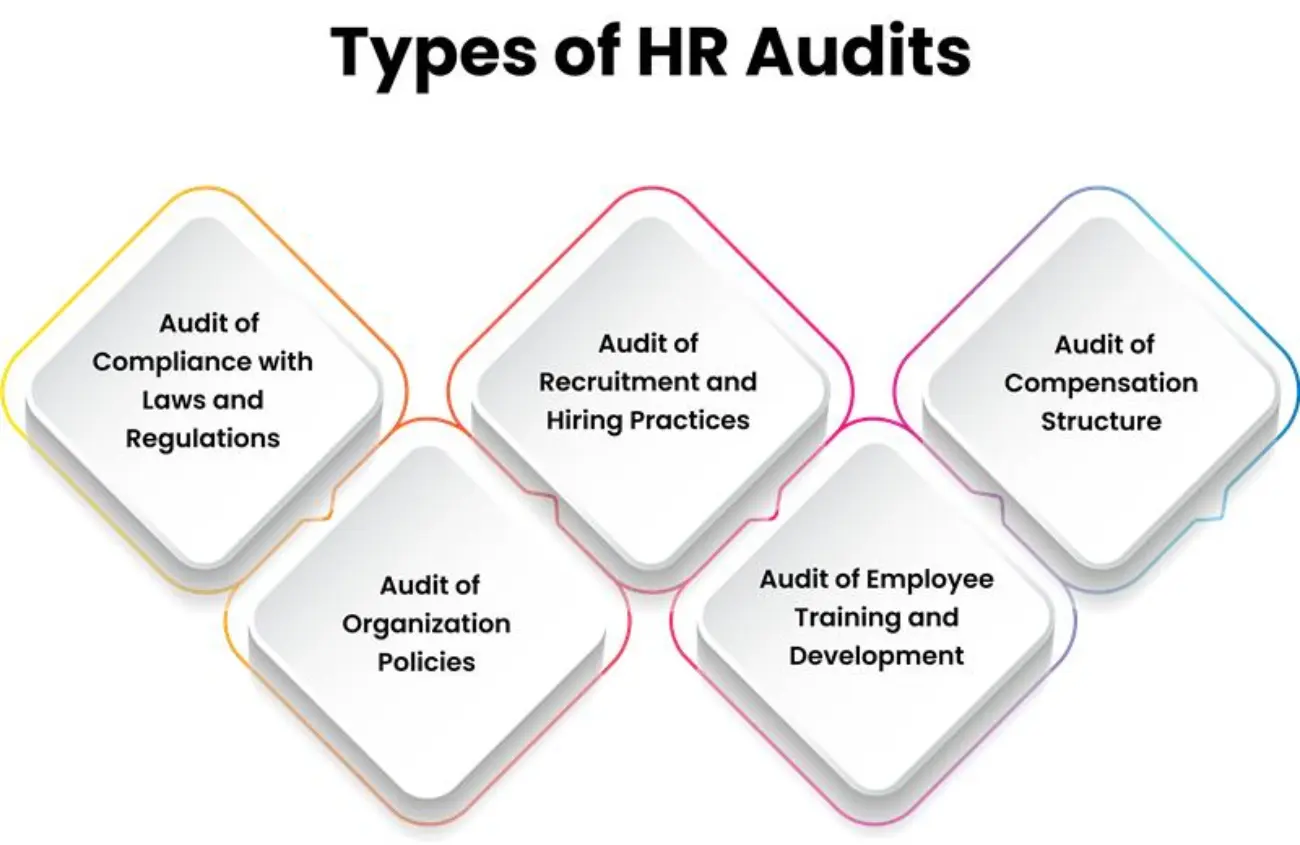 process of human resource audit 