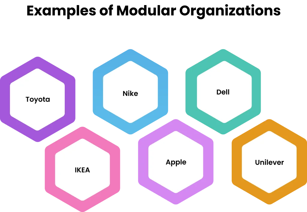 examples of modular organization