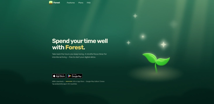 forest