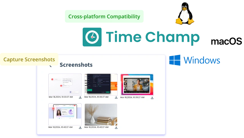 Timesheets & Invoice Management