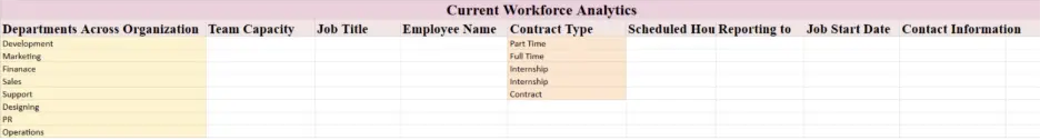 Current Workforce Analysis