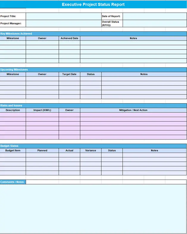 exclusive project status report