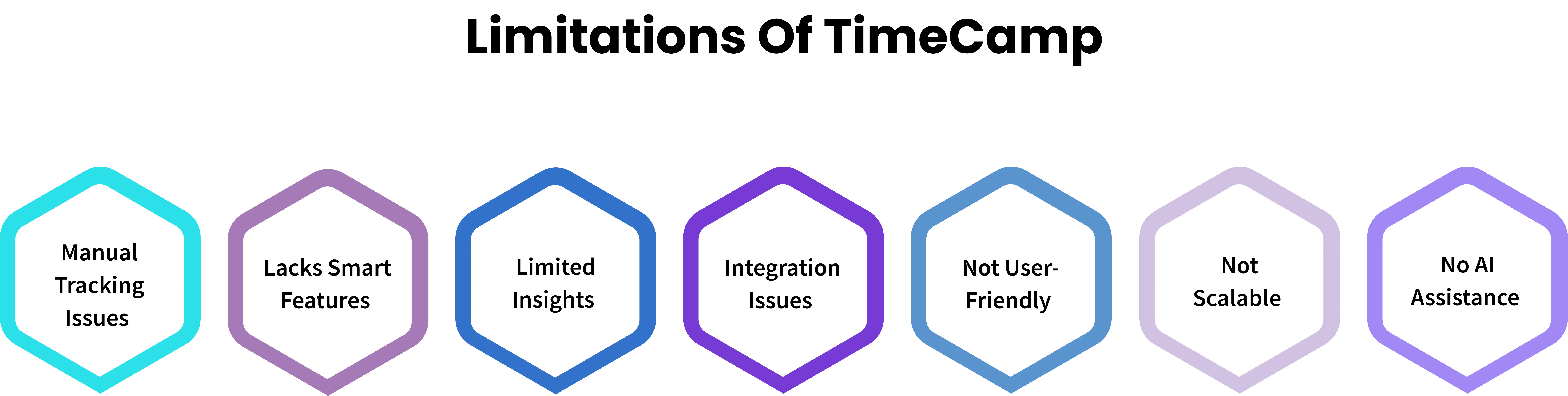 limitations of timecamp