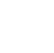 reporting  timechamp