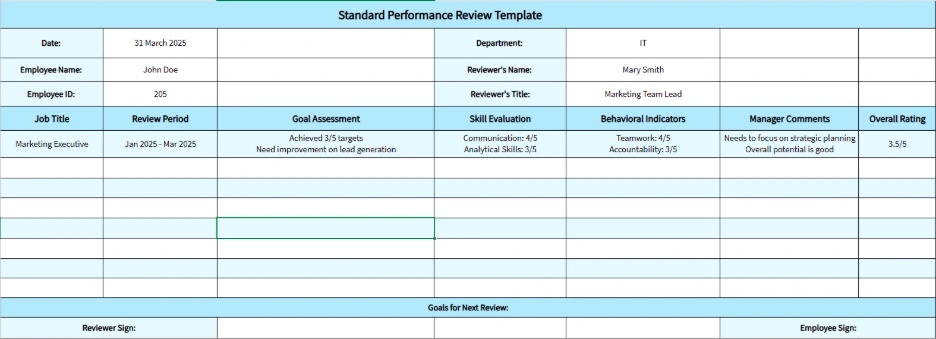 standard performance review template 