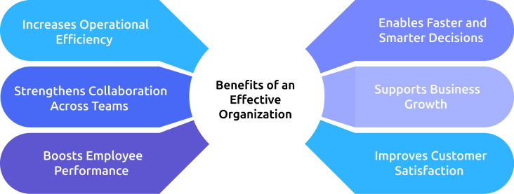 benefits of an effective organization