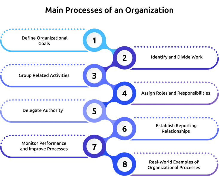 main processes of an organization