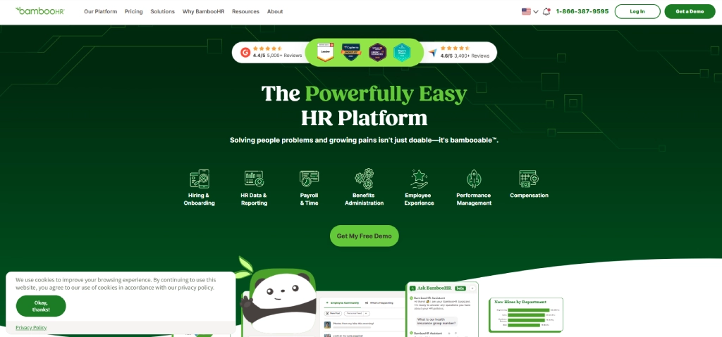 bamboo hr dashboard